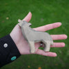 Wolf aus Holz