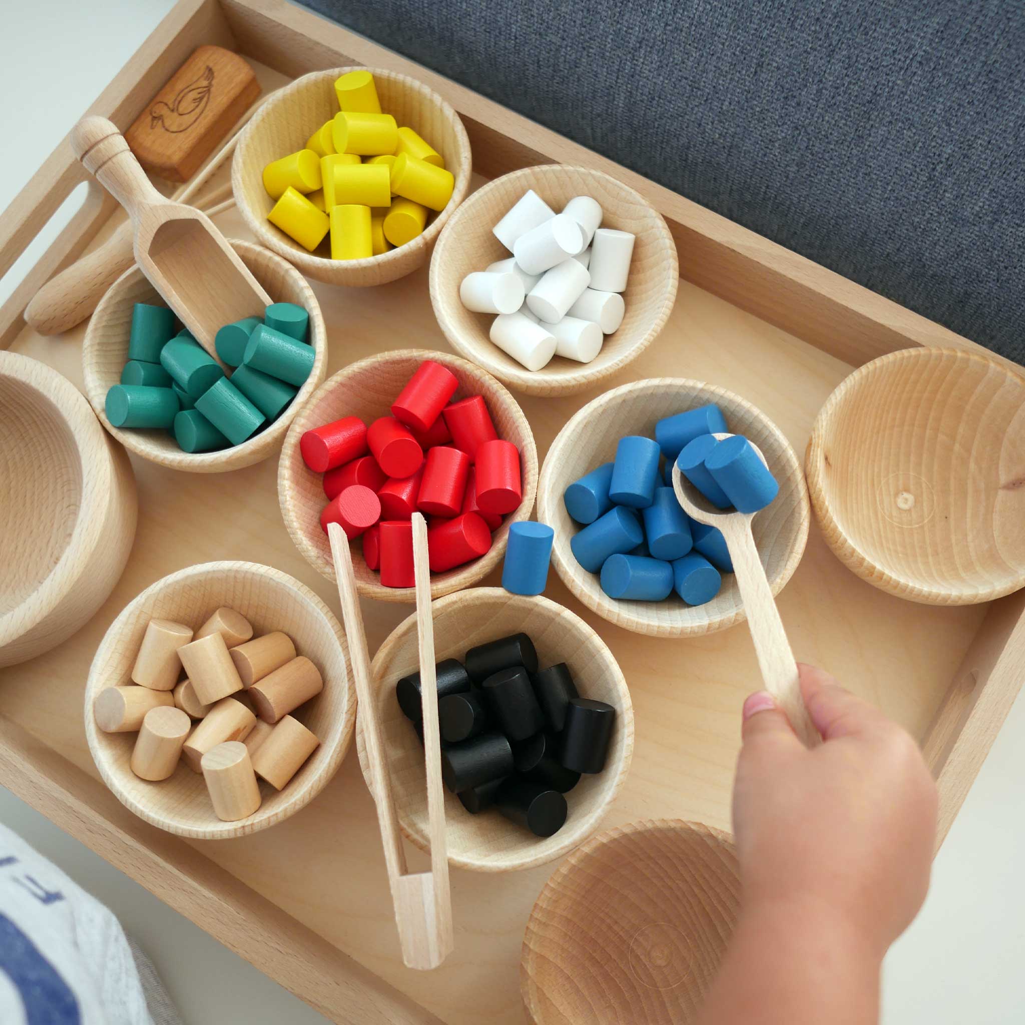 Montessori Holzzylinder für Farbspiele, Zangen- und Sortierübungen